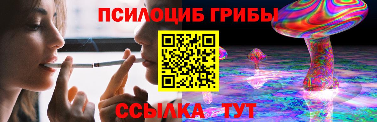 Вологда  Псилоцибиновые грибы прущие грибы  Вход с VPN  Галлюциногенные грибы Cubensis 